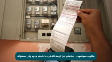 فاتورة سبتمبر.. استعلم عن قيمة الكهرباء لشهر جديد بكل سهولة